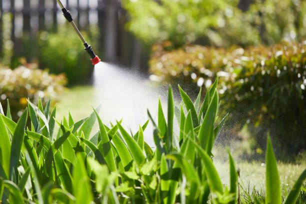 24/7 Emergency Wasp Removal experts in New Baltimore, MI