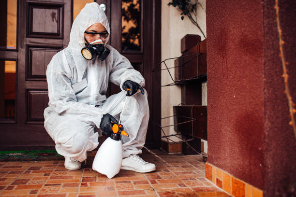 Reliable Wasp Removal contractor in New Baltimore, MI by Show Me Pest Control